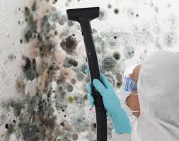  , USA Mold Removal Services Pros